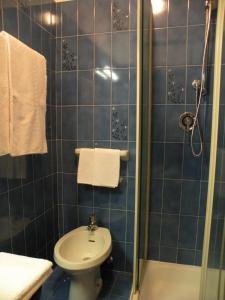 a blue tiled bathroom with a toilet and a shower at Hotel Vajolet in Mazzin