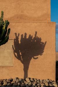 Φωτογραφία από το άλμπουμ του Private villa, up to 38 people, Massages, Catering στο Μαρακές