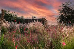 Φωτογραφία από το άλμπουμ του Private villa, up to 38 people, Massages, Catering στο Μαρακές