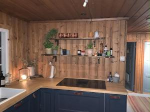 a kitchen with wooden walls and a counter top at Cozy family friendly cabin at beautiful location! in Geilo