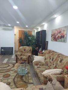 a living room with couches and a coffee table at Mandarina lux apartments in Kneževac