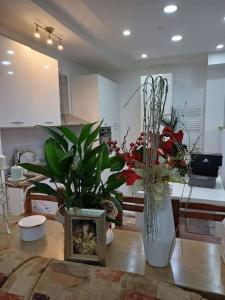 a living room with a table with some plants on it at Mandarina lux apartments in Kneževac +13 photos