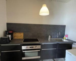 una cocina con fregadero y estufa en Paradiesisch Wohnen Wiesbaden, en Wiesbaden