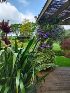 um jardim com flores roxas num passadiço de madeira em VANNES STUDIO RECENT AU CALME em Vannes