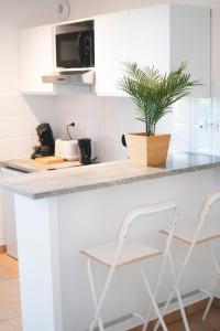 a kitchen counter with a potted plant on it at Le cocon cosy - T2 - Parking - Proche Zoo in La Salvetat