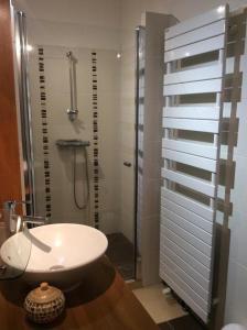 ein Bad mit einer Dusche und einem weißen Waschbecken in der Unterkunft Authentique Mas avec piscine et pool house in Mouriès