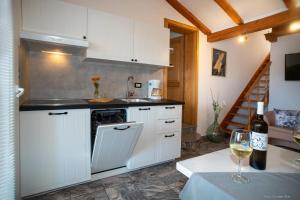 Kuchyň nebo kuchyňský kout v ubytování Guesthouse Mila