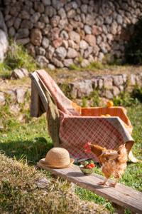 un poulet debout à côté d'un nourricier d'oiseaux avec un chapeau dans l'établissement Agroturismo Son Viscos, à Valldemossa