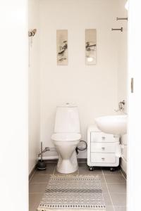a white bathroom with a toilet and a sink at Pihla Inspiratsioonitalu peamaja in Kõpu +20 photos