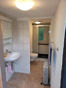 a bathroom with a sink and a toilet at aschis Lodge 2 in Soubey +52 photos