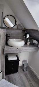 a bathroom with a sink and a mirror on a shelf at 1 Zimmer Appartement mit Bad in Königsbrunn