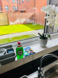 alféizar de la ventana con fregadero y una botella de jabón lavavajillas en Leicester City 4 Bed home, en Leicester