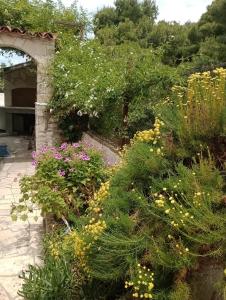 ogród z wieloma różnymi rodzajami kwiatów w obiekcie Kuća za odmor Skalina w mieście Splitska