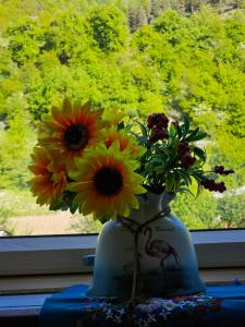 un vase rempli de fleurs jaunes assis dans une fenêtre dans l'établissement B&B Cottage in Mestia, à Mestia