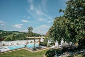 an outdoor swimming pool with chairs and a tree at Weingut Holler Chalet Weingarten in Spielfeld