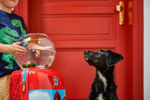 Um cão está a olhar para uma taça de vidro. em Residence Vocelova em Praga