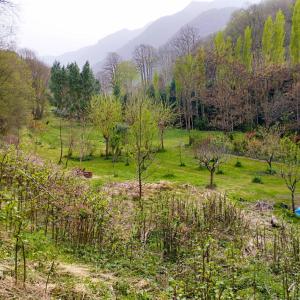 Gallery image of Petit Luchon in Biran