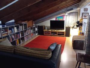 ein Wohnzimmer mit einem Sofa, einem TV und Büchern in der Unterkunft Casa El Angel Loft Denia centro con parking in Denia