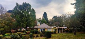 a house in a yard with trees and bushes at Daneswold Country Cottage and Manor House in Hogsback