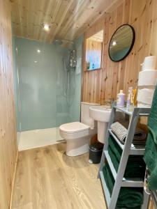 a bathroom with a toilet and a sink and a shower at Silo Green in Great Dunmow +9 photos