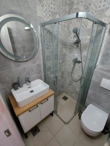 uma casa de banho com um chuveiro, um lavatório e um WC. em Apartments Marina em Apatin