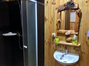 a bathroom with a sink and a mirror at Садиба «Полісся» in Rudnya Vorobʼivsʼka +70 photos