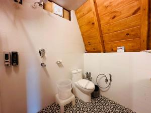 a bathroom with a toilet and a phone on the wall at The Lake Ambience Resort in Bhīm Tāl