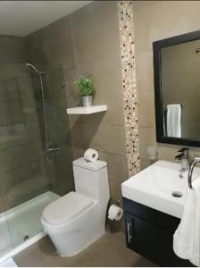 ein Bad mit einem WC, einem Waschbecken und einer Dusche in der Unterkunft Moderno practico y tranquilo in Santo Domingo