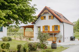 StremUrlaub im Kellerstöckl Dunst的一座带有复式屋顶的白色房子