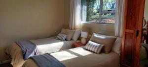 a bedroom with two beds and a window at Daneswold Country Cottage and Manor House in Hogsback