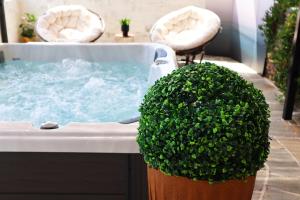 阿斯特里斯Thassion-ikea Jacuzzi Hydromassage的浴缸里装满了水，还有一丛绿色灌木