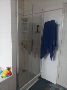 een douche met een glazen deur in de badkamer bij Maison familiale en centre-ville in Rochefort