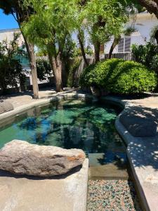 a pool of water with a rock and trees at Resort Terme La Pergola in Casamicciola Terme