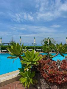 uitzicht op het zwembad van het resort bij Resort Terme La Pergola in Ischia