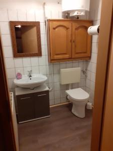 a small bathroom with a toilet and a sink at Schloss Ottendorf in Bahretal
