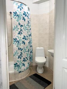 a bathroom with a toilet and a shower curtain at Hotel Vesta in Brovary
