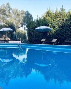 una piscina azul con sombrilla y sillas en Villa I Tigli Appartamenti, en Campiglia Marittima