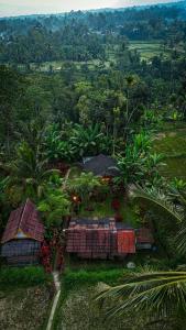 an aerial view of a house in a field at Wina Wani Bungalows Tetebatu in Tetebatu
