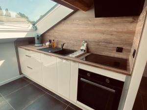 a small kitchen with a sink and a window at Scandinavian appartement in Saint-Avold