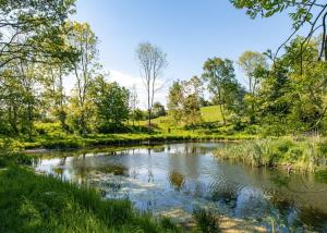 a river in a park with trees and grass at Docker Holiday Park in Carnforth +37 photos