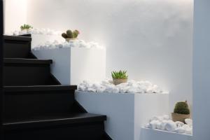 a white staircase with rocks and cacti on it at B&B Sunlight Tropea in Tropea