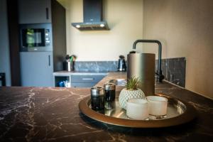 Kuchyň nebo kuchyňský kout v ubytování Wellnesslodge Merel