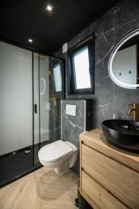 a bathroom with a toilet and a sink at Wellnesslodge Specht in Dalerveen