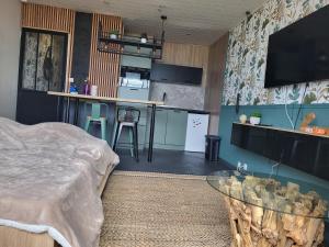 Μια τηλεόραση ή/και κέντρο ψυχαγωγίας στο L escatade de Saint jean de monts