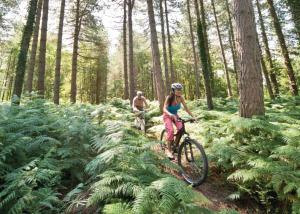 a man and a woman riding bikes in a forest at The Sherwood Hideaway Lodges 