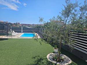 un arbre dans un pot à côté d'une piscine dans l'établissement Apartment AS MOON with swimming pool, à Split