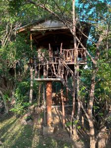 Giardino di Sigiriya Rock Gate Tree House