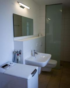 a bathroom with a sink and a toilet and a mirror at Ferienwohnung SandSteinLand in Reinhardtsdorf +17 photos