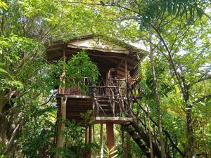 Giardino di Sigiriya Rock Gate Tree House