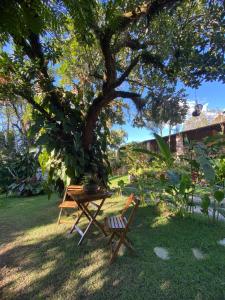 uma mesa de piquenique e uma cadeira debaixo de uma árvore em Chalé Céu estrelado em Caruaru